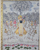 Shrinathji Darshan: Luminous Presence of Shrinathji