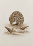 Handmade Mughal Miniature Painting of Peacock in Nature, Wall Decor