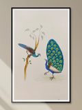 Handmade Indian Miniature Painting of a Peacock, Peafowl Bird in Nature, Decorative wall art