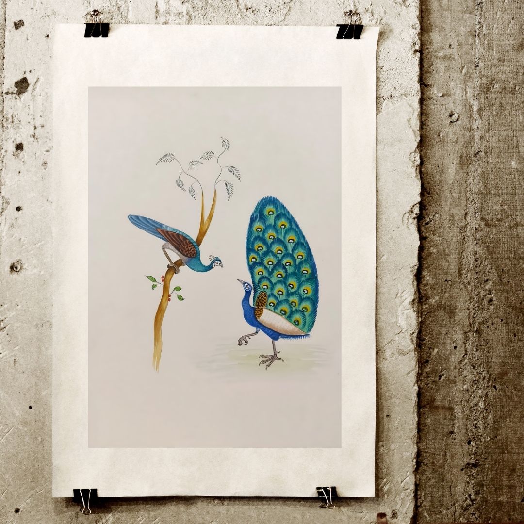 Handmade Indian Miniature Painting of a Peacock, Peafowl Bird in Nature, Decorative wall art