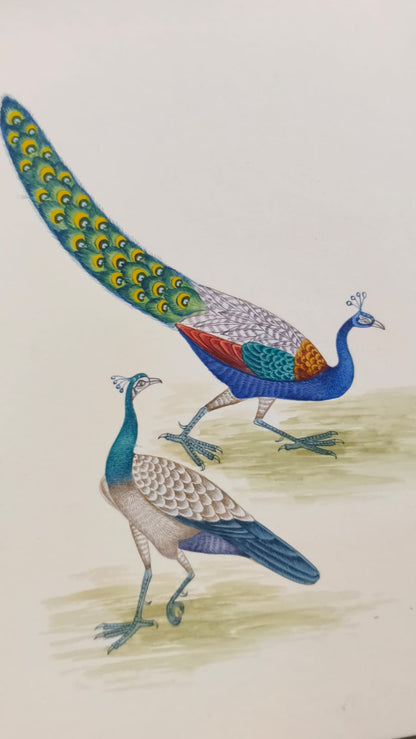 Handmade Indian Mughal Miniature Painting of Peacock | Art & Decor | Traditional Indian Art