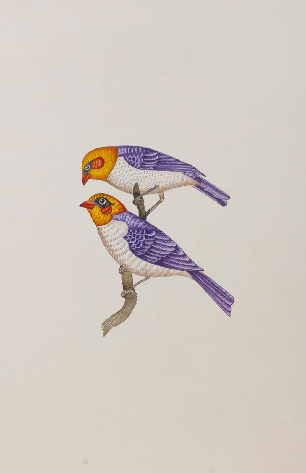 Handmade Mughal Miniature Painting of Peacock